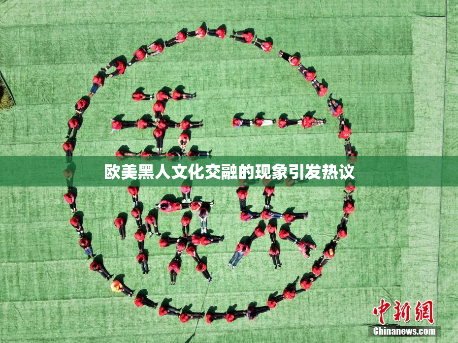 欧美黑人文化交融的现象引发热议