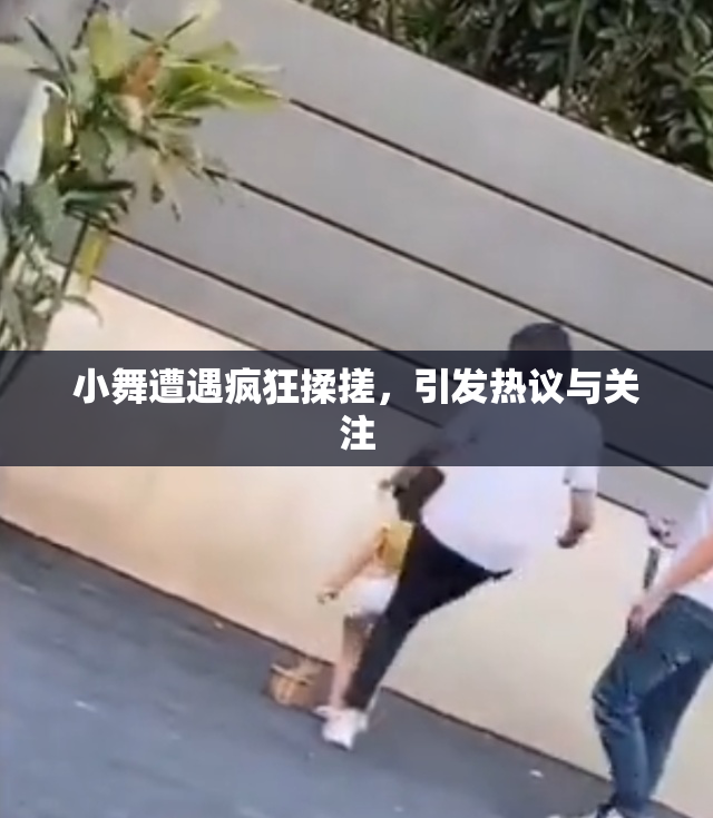 小舞遭遇疯狂揉搓，引发热议与关注