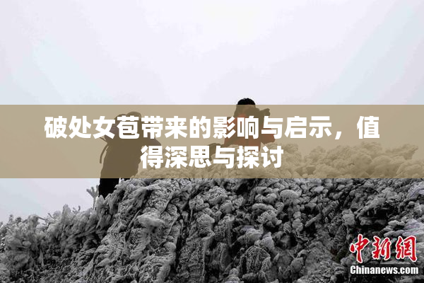 破处女苞带来的影响与启示，值得深思与探讨