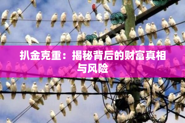 扒金克重：揭秘背后的财富真相与风险