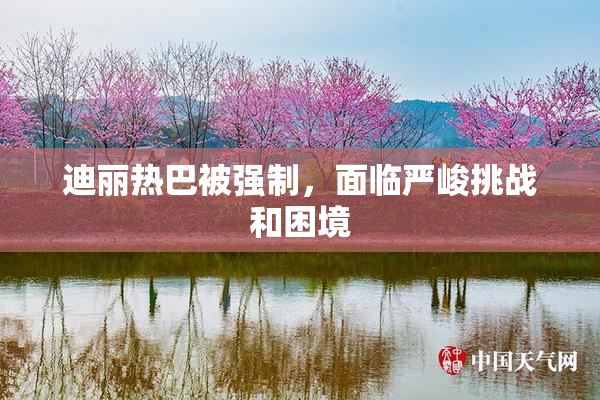 迪丽热巴被强制，面临严峻挑战和困境