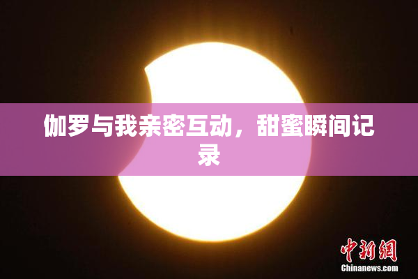 伽罗与我亲密互动，甜蜜瞬间记录