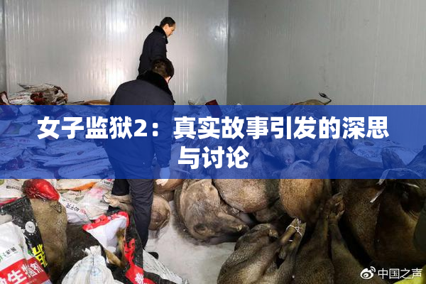 女子监狱2：真实故事引发的深思与讨论