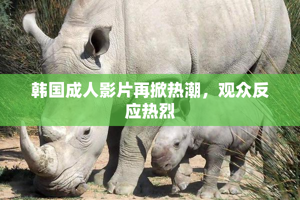 韩国成人影片再掀热潮，观众反应热烈