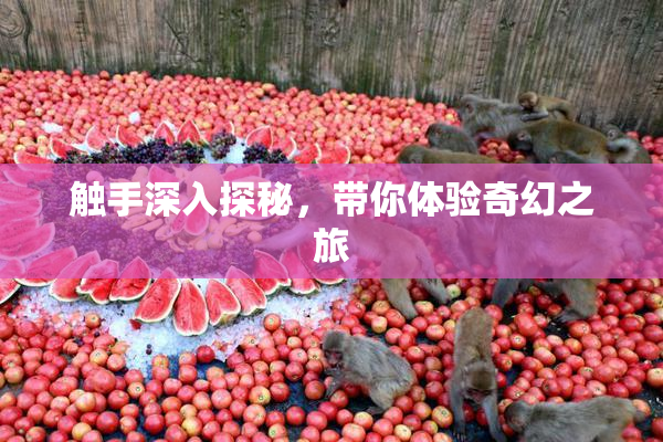 触手深入探秘，带你体验奇幻之旅