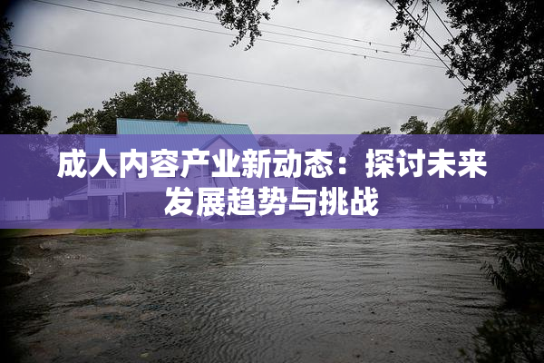成人内容产业新动态：探讨未来发展趋势与挑战