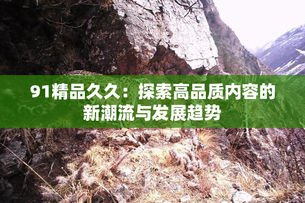 91精品久久：探索高品质内容的新潮流与发展趋势