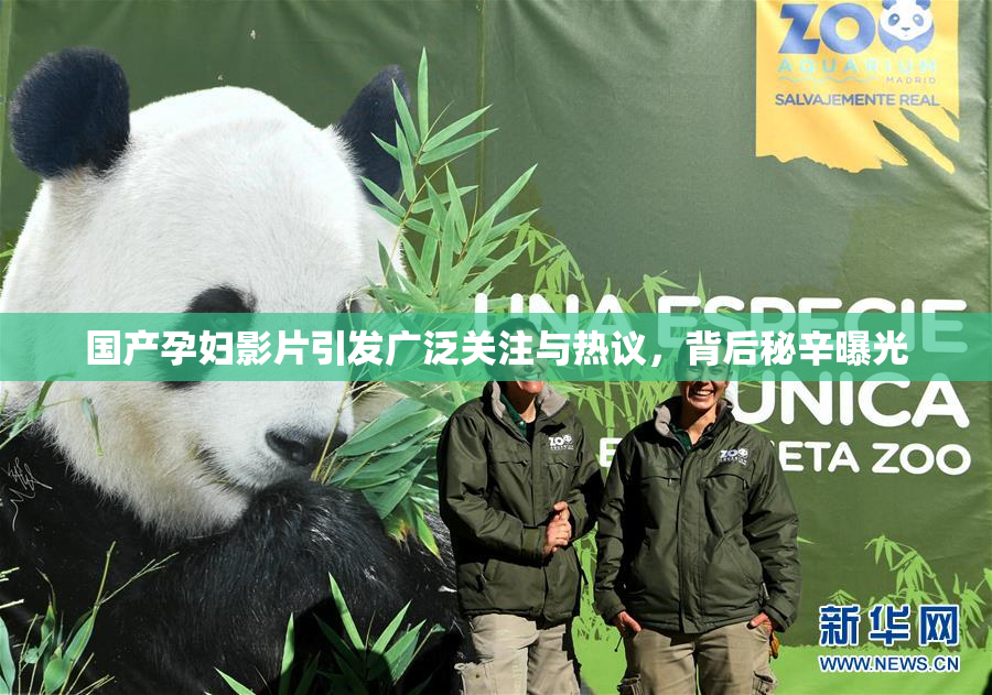 国产孕妇影片引发广泛关注与热议，背后秘辛曝光