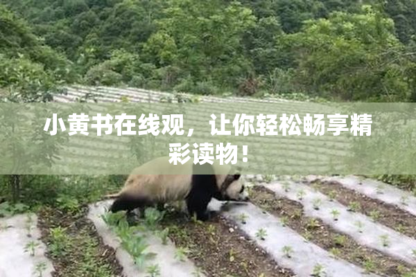 小黄书在线观，让你轻松畅享精彩读物！