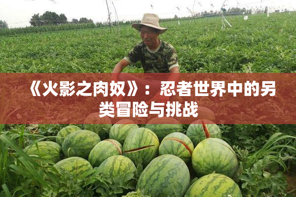 《火影之肉奴》：忍者世界中的另类冒险与挑战