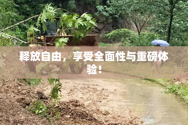 释放自由，享受全面性与重磅体验！