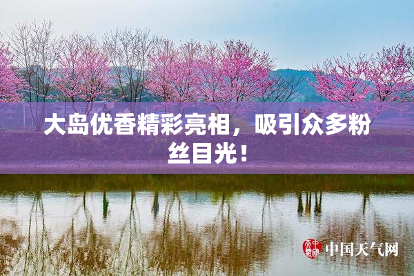 大岛优香精彩亮相，吸引众多粉丝目光！