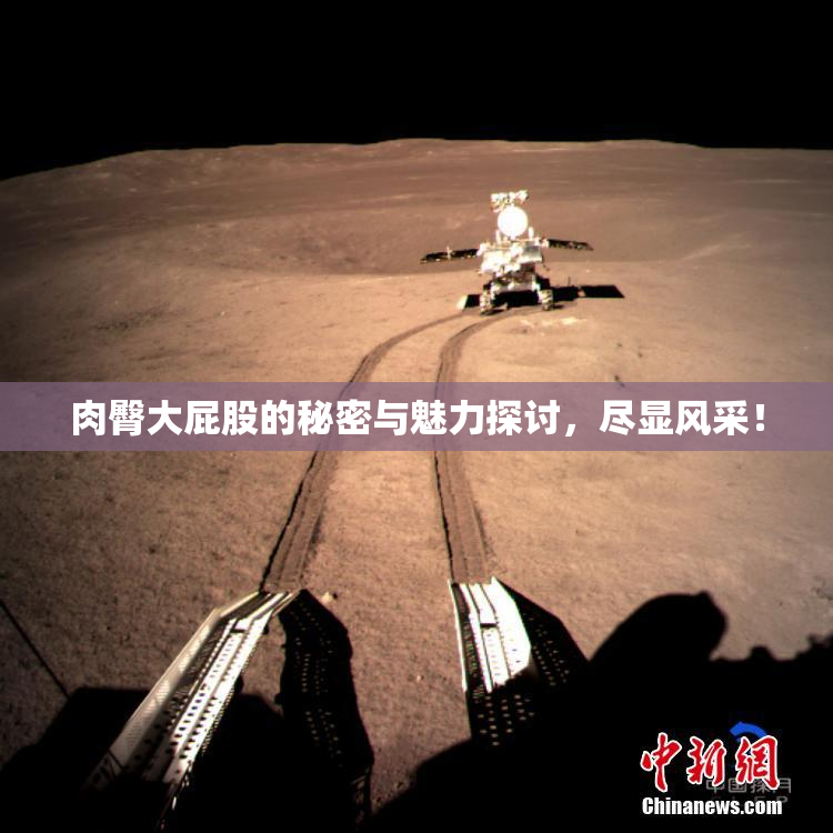 肉臀大屁股的秘密与魅力探讨，尽显风采！