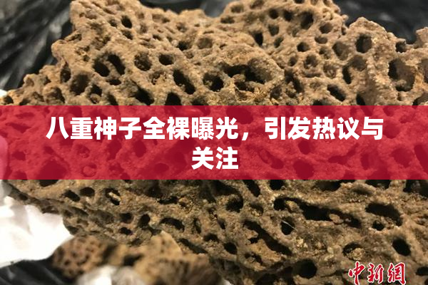 八重神子全裸曝光，引发热议与关注
