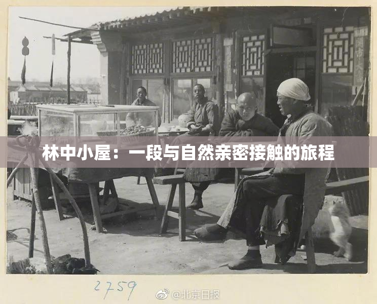 林中小屋：一段与自然亲密接触的旅程