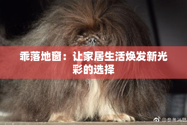 乖落地窗：让家居生活焕发新光彩的选择