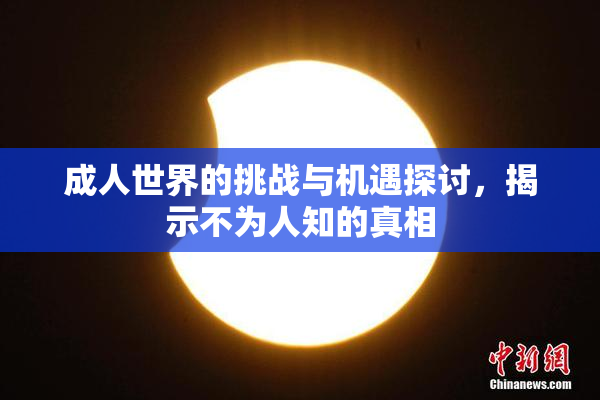 成人世界的挑战与机遇探讨，揭示不为人知的真相