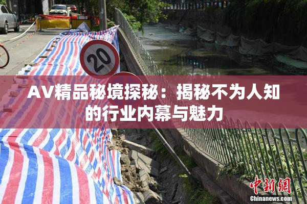 AV精品秘境探秘：揭秘不为人知的行业内幕与魅力
