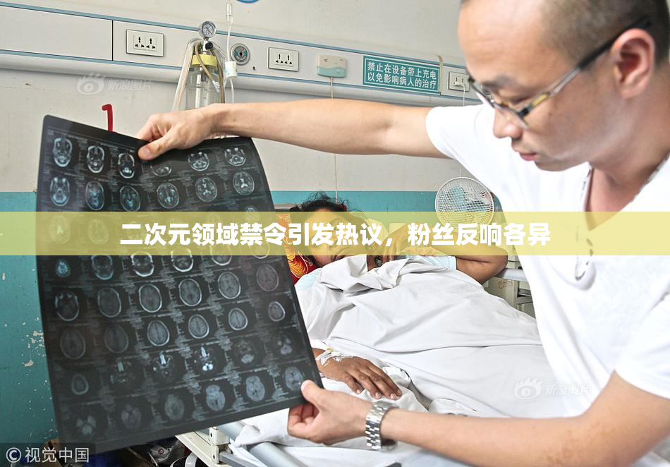 二次元领域禁令引发热议，粉丝反响各异