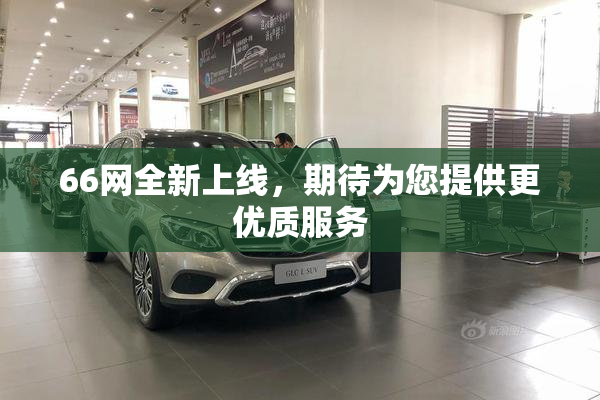 66网全新上线，期待为您提供更优质服务