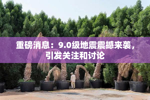 重磅消息：9.0级地震震撼来袭，引发关注和讨论