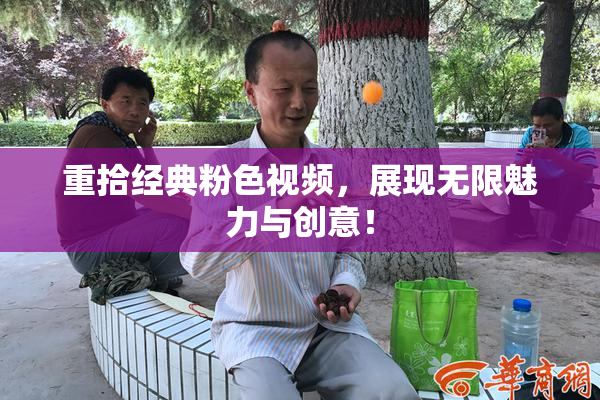 重拾经典粉色视频，展现无限魅力与创意！
