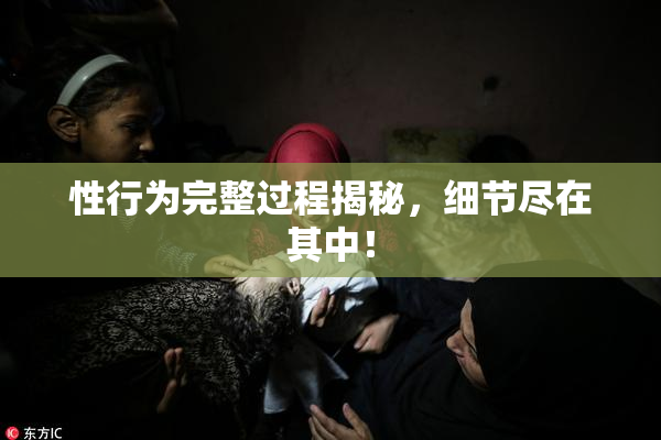 性行为完整过程揭秘，细节尽在其中！
