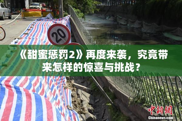 《甜蜜惩罚2》再度来袭，究竟带来怎样的惊喜与挑战？