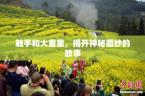 触手和大重重，揭开神秘面纱的故事