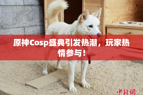 原神Cosp盛典引发热潮，玩家热情参与！
