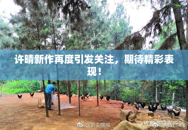 许晴新作再度引发关注，期待精彩表现！