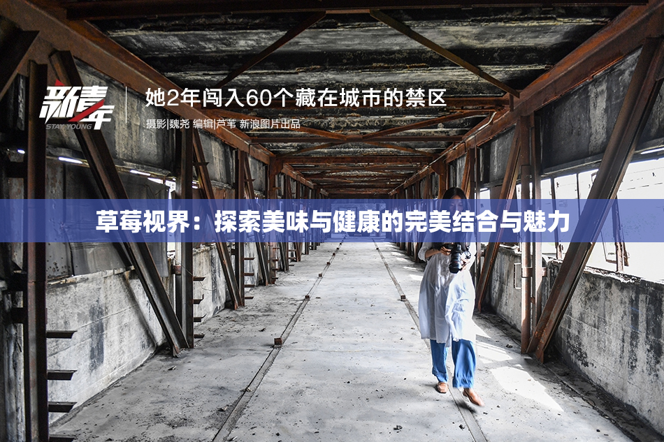 草莓视界：探索美味与健康的完美结合与魅力