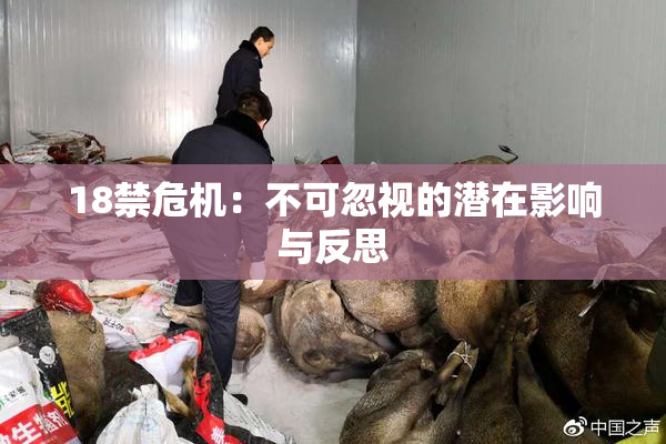 18禁危机：不可忽视的潜在影响与反思