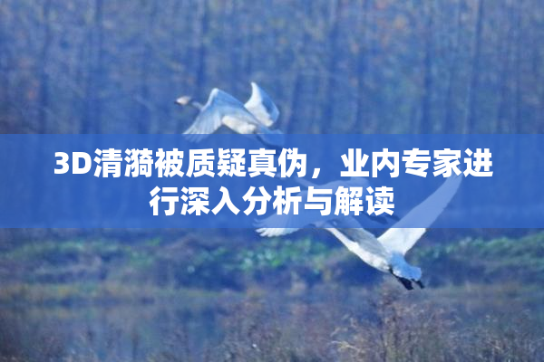 3D清漪被质疑真伪，业内专家进行深入分析与解读