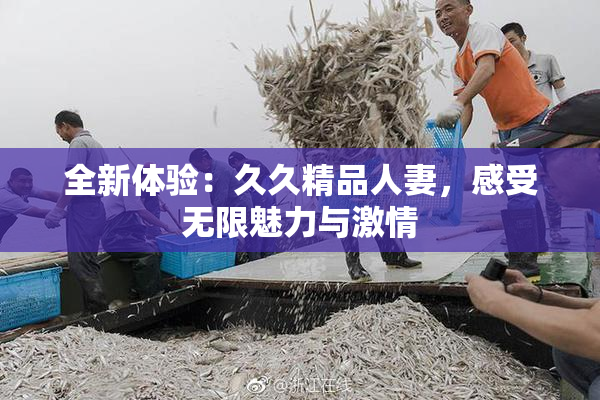 全新体验：久久精品人妻，感受无限魅力与激情