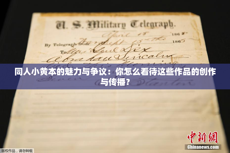 同人小黄本的魅力与争议：你怎么看待这些作品的创作与传播？