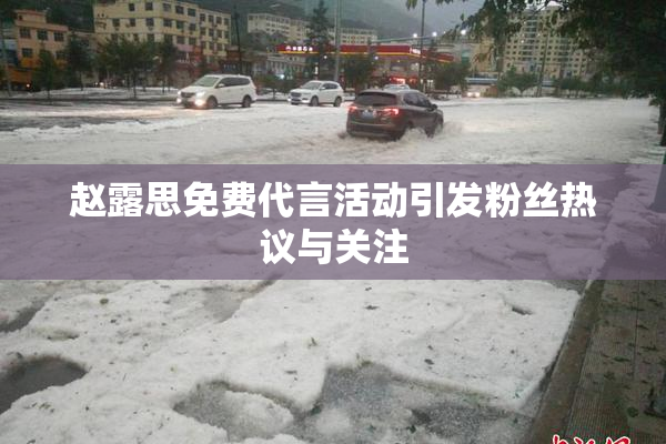 赵露思免费代言活动引发粉丝热议与关注