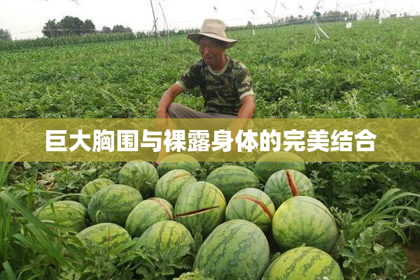 巨大胸围与裸露身体的完美结合
