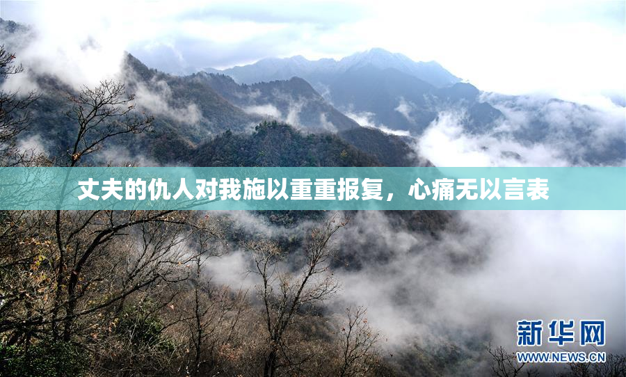 丈夫的仇人对我施以重重报复，心痛无以言表