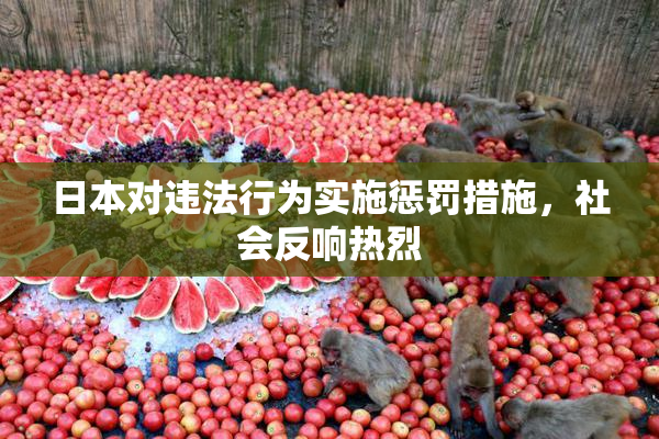 日本对违法行为实施惩罚措施，社会反响热烈
