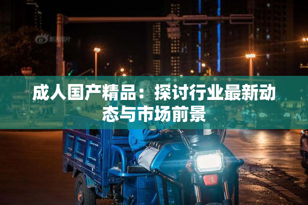 成人国产精品：探讨行业最新动态与市场前景