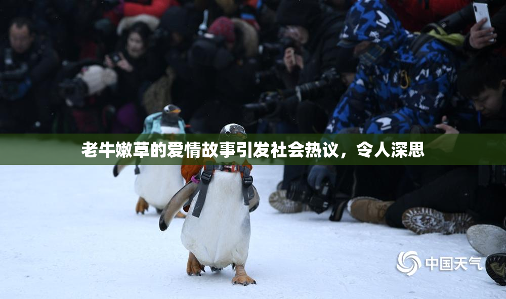 老牛嫩草的爱情故事引发社会热议，令人深思