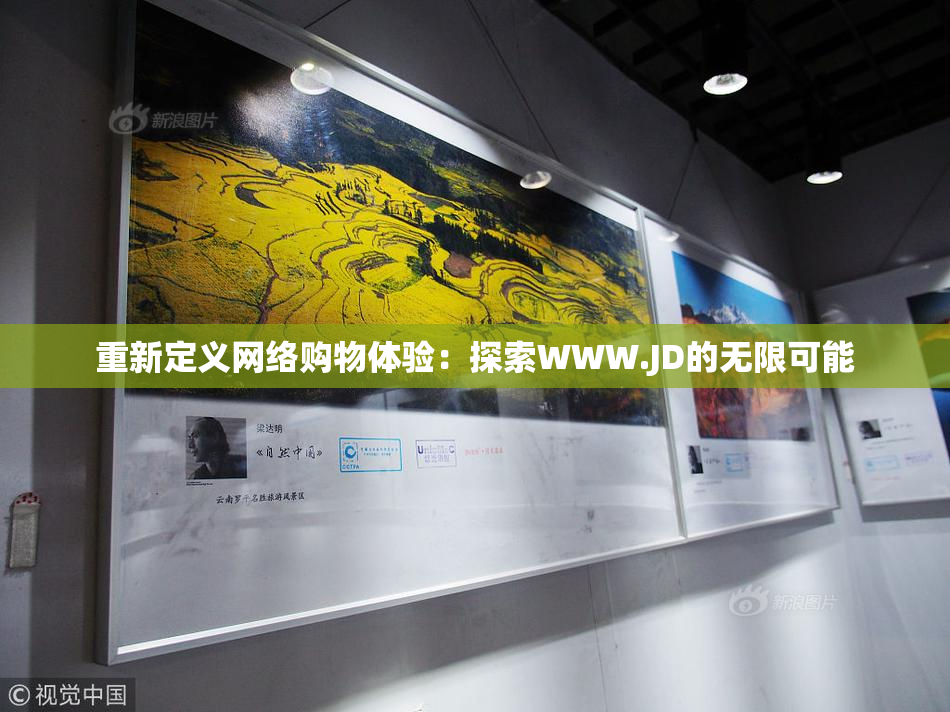 重新定义网络购物体验：探索WWW.JD的无限可能