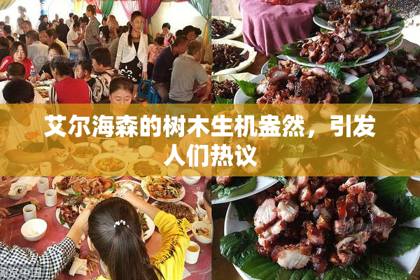 艾尔海森的树木生机盎然，引发人们热议