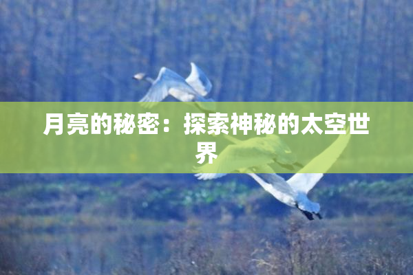 月亮的秘密：探索神秘的太空世界