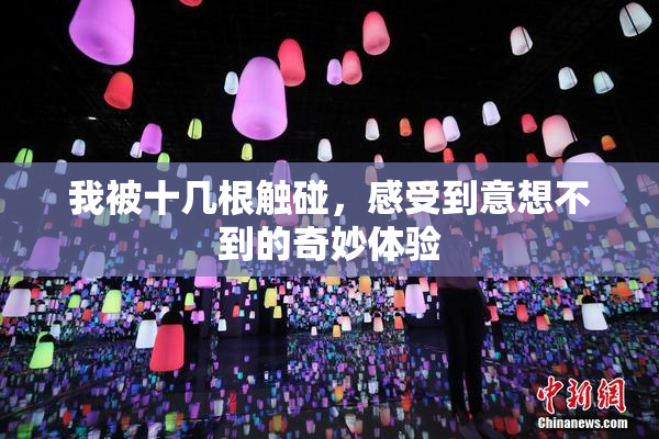 我被十几根触碰，感受到意想不到的奇妙体验