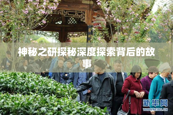 神秘之研探秘深度探索背后的故事