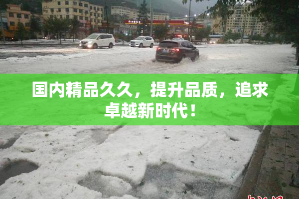 国内精品久久，提升品质，追求卓越新时代！