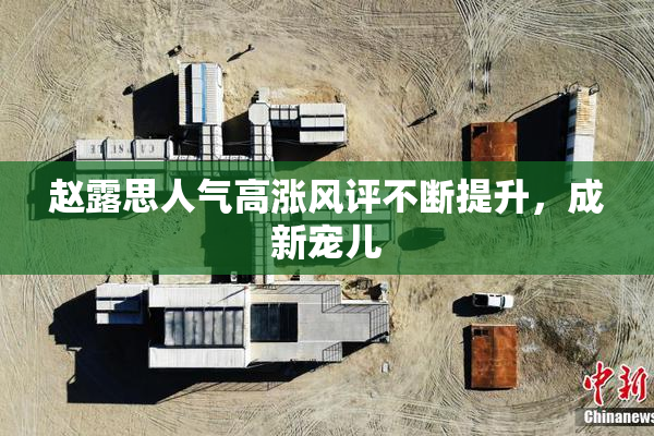 赵露思人气高涨风评不断提升，成新宠儿