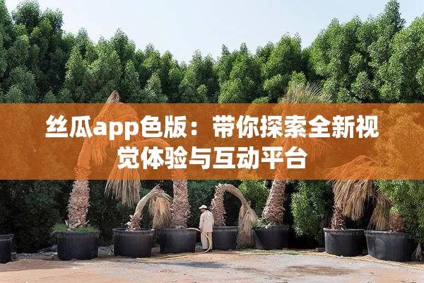 丝瓜app色版：带你探索全新视觉体验与互动平台